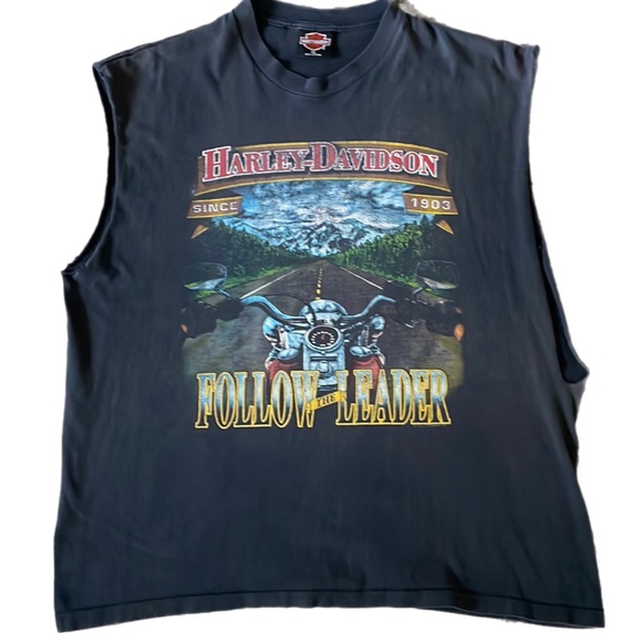 HarleyDavidson Shirts Vintage Ripped Cut Harley Davidson Holoubek